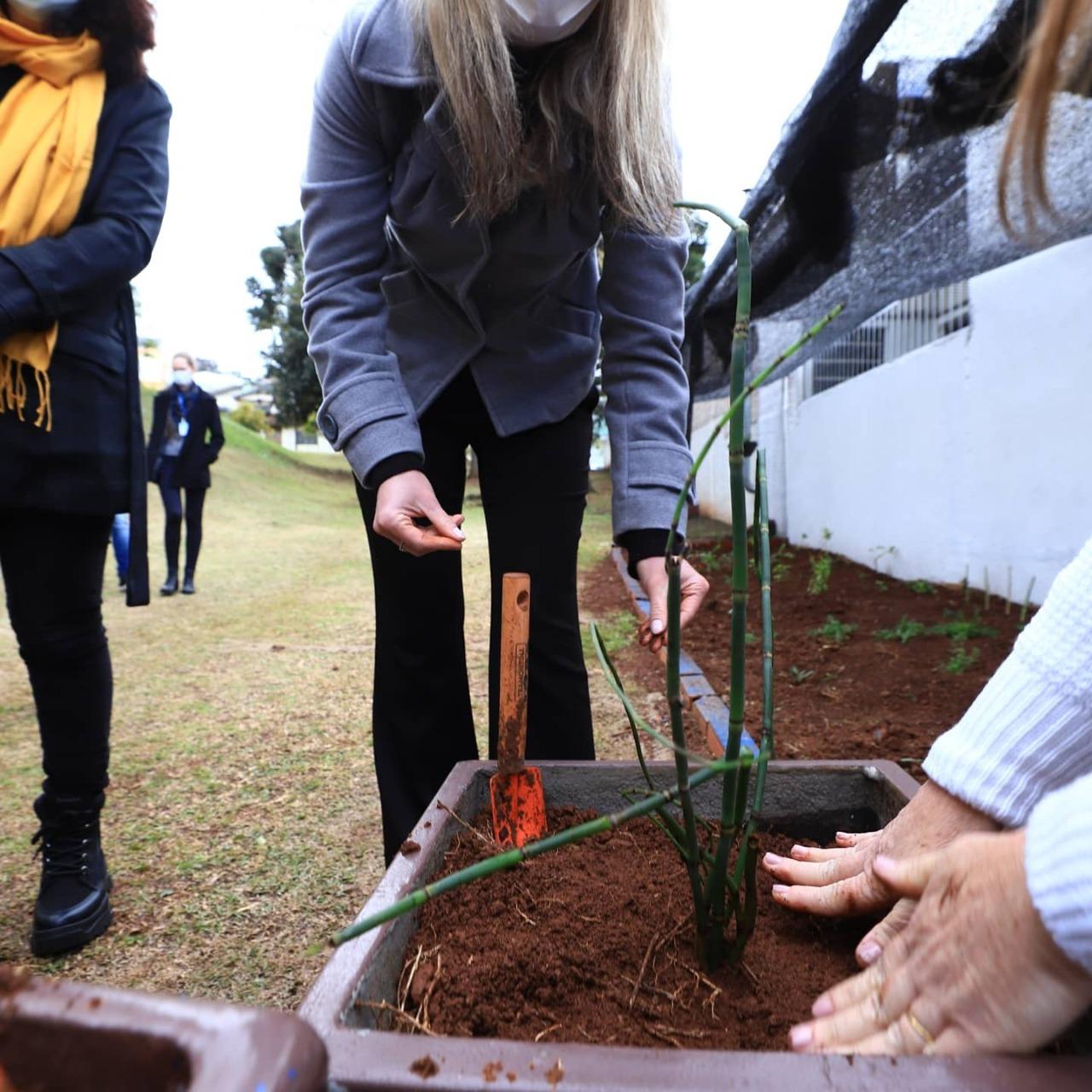 Projeto Multidisciplinar Promove Ensino Sobre O Uso De Plantas Medicinais Projetos Sesi 1979