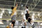 Voleibol masculino: Renault x Itaipu (Foto: Mauro Frasson)