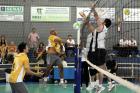 Voleibol masculino: Renault x Itaipu (Foto: Mauro Frasson)